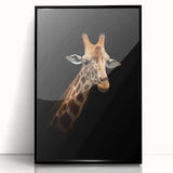 Framed wall art featuring a striking giraffe design against a black background, showcasing intricate details and vibrant colors, perfect for animal lovers and home decor enthusiasts.