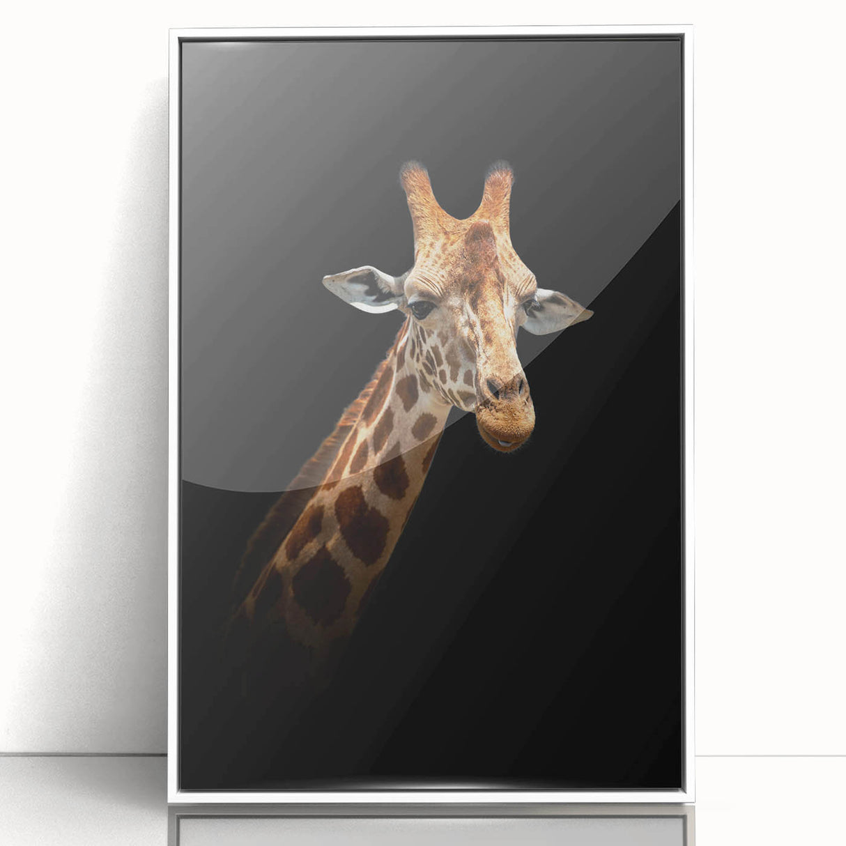 Framed acrylic wall art featuring a stunning giraffe design, showcasing vibrant colors and intricate details, perfect for enhancing modern home decor.