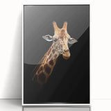 Framed acrylic wall art featuring a stunning giraffe design, showcasing vibrant colors and intricate details, perfect for enhancing modern home decor.