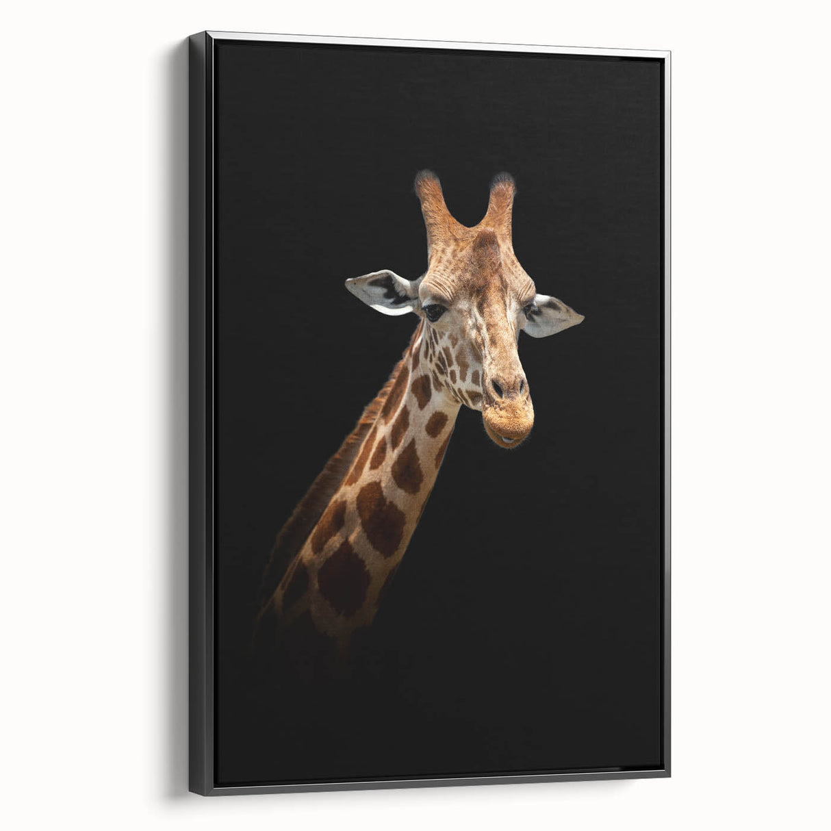 Framed wall art featuring a black and white side view of a giraffe, showcasing intricate details in its fur and posture, ideal for animal lovers and modern decor.