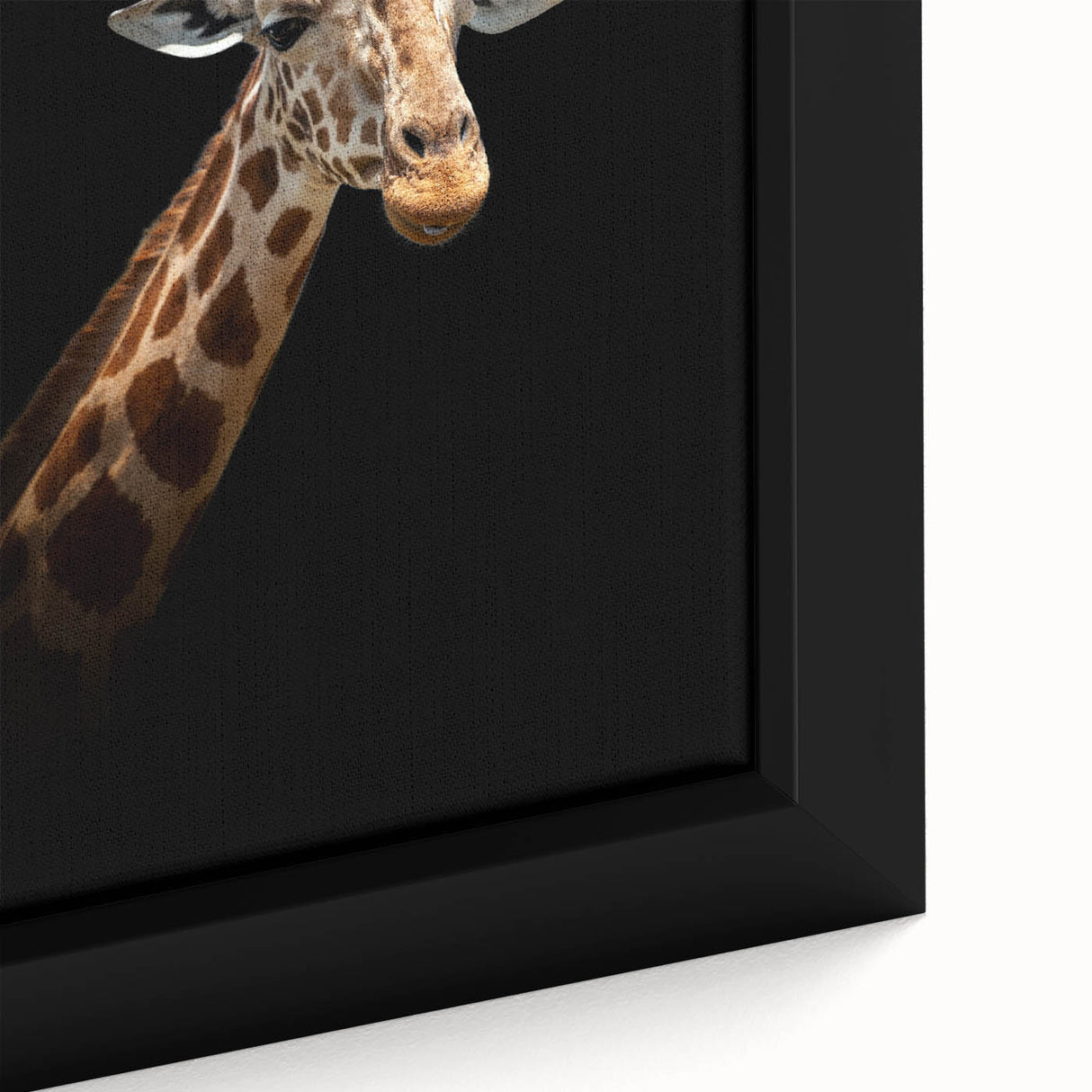 Close-up of a framed canvas artwork depicting a vibrant giraffe design, showcasing intricate details and colors, perfect for animal-themed decor or wildlife enthusiasts.