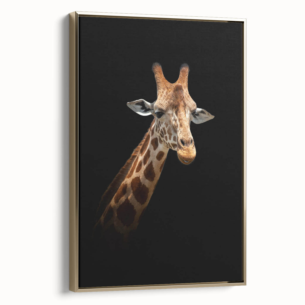 Framed canvas wall art showcasing a stylish side view of a giraffe against a gold background, perfect for adding a touch of elegance and wildlife charm to any room.