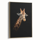 Framed canvas wall art showcasing a stylish side view of a giraffe against a gold background, perfect for adding a touch of elegance and wildlife charm to any room.