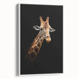 Framed wall art featuring a side view of a giraffe in a minimalist white design, perfect for modern decor, showcasing its long neck and unique patterns.