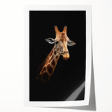 Giraffe wall art print showcasing a vibrant and detailed illustration of a giraffe in a natural setting, perfect for animal lovers and home decor enthusiasts. The rolled canvas is designed for easy framing and adds a touch of wildlife elegance to any space.