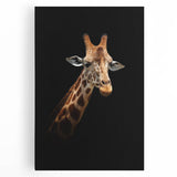 Vibrant wall art featuring a front view of a giraffe against a natural landscape, showcasing intricate details and rich colors, perfect for animal lovers and home decor.