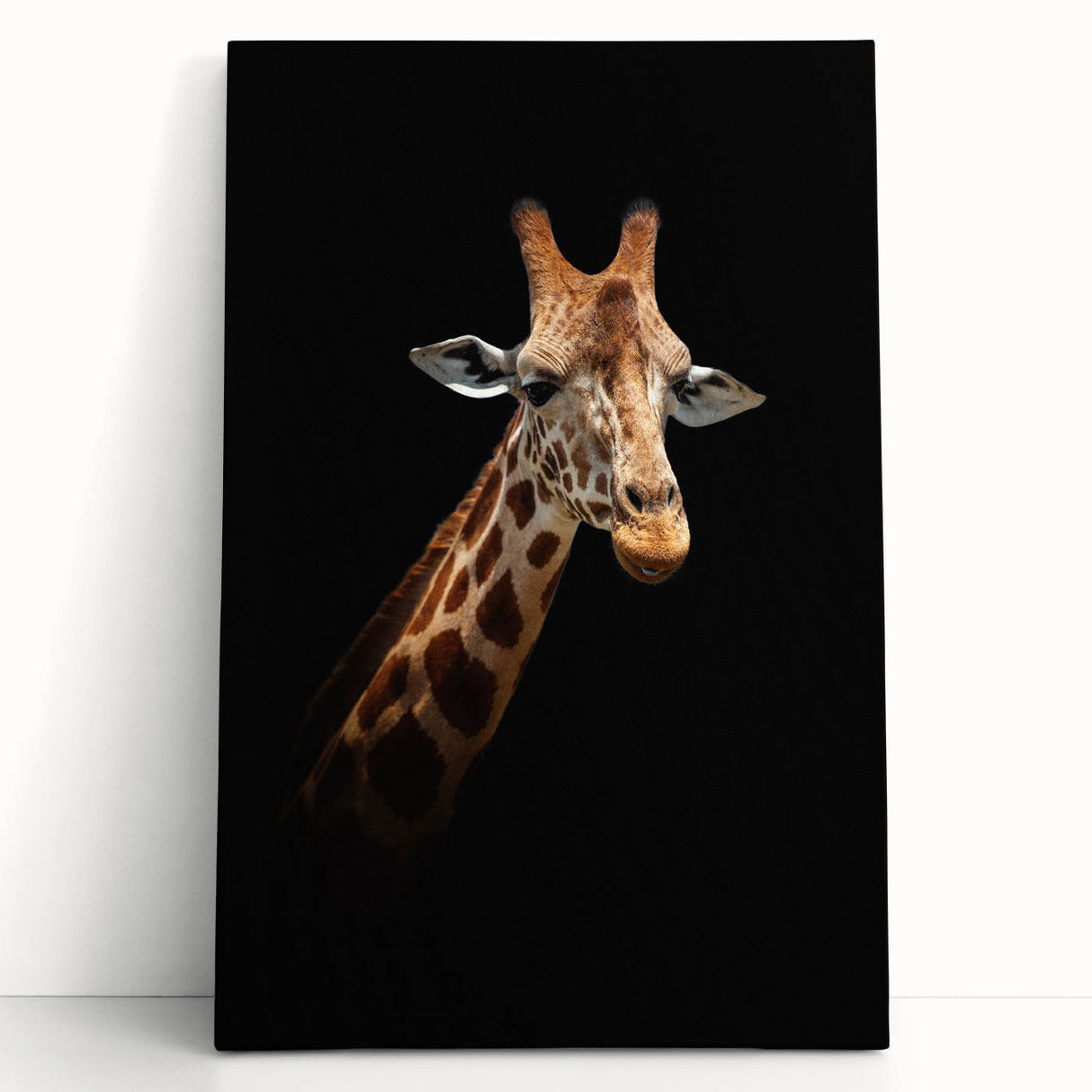 Vibrant giraffe-themed wall art design on stretched canvas, showcasing intricate details and rich colors, perfect for animal lovers and home décor enthusiasts.