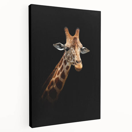 Vibrant giraffe wall art on stretched canvas, showcasing intricate details and bold colors, perfect for adding a touch of wildlife elegance to any room.