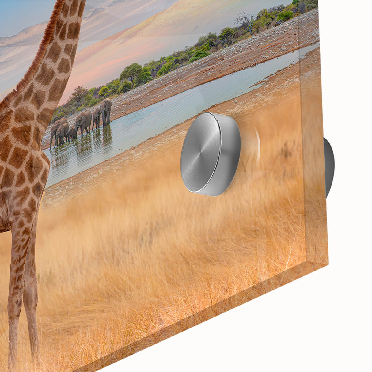 Close-up of a vibrant giraffe wall art piece showcasing intricate details and colorful patterns, ideal for nature-themed decor and animal lovers' collections.