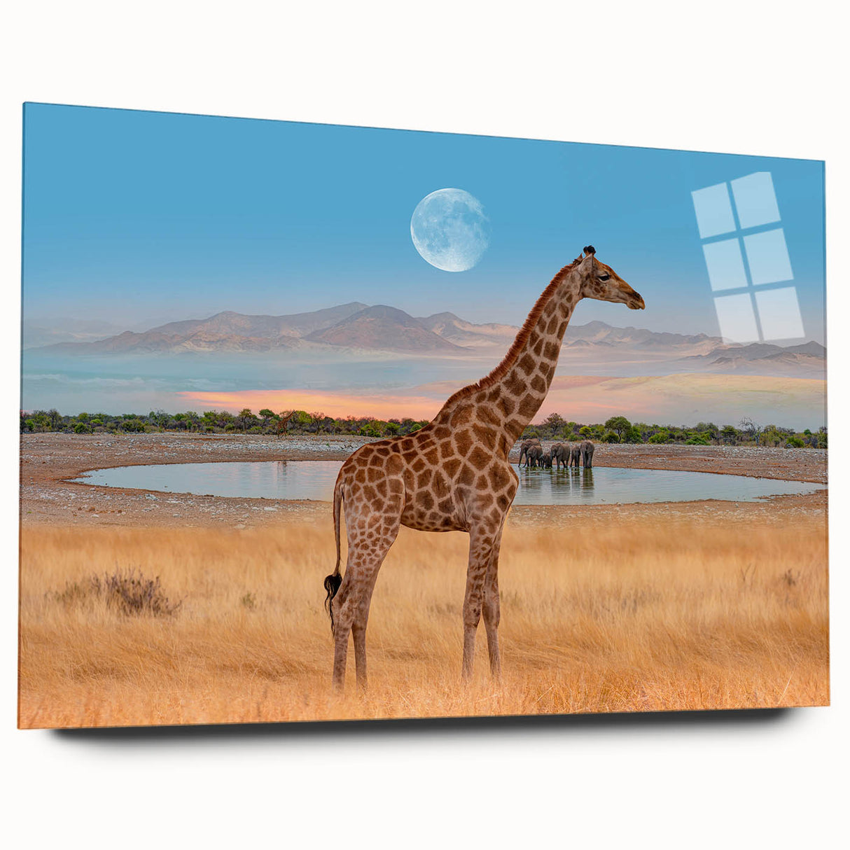 Giraffe wall art design displayed on acrylic glass, showcasing a vibrant side view. Ideal for animal lovers, this collection adds a modern touch to any room decor.