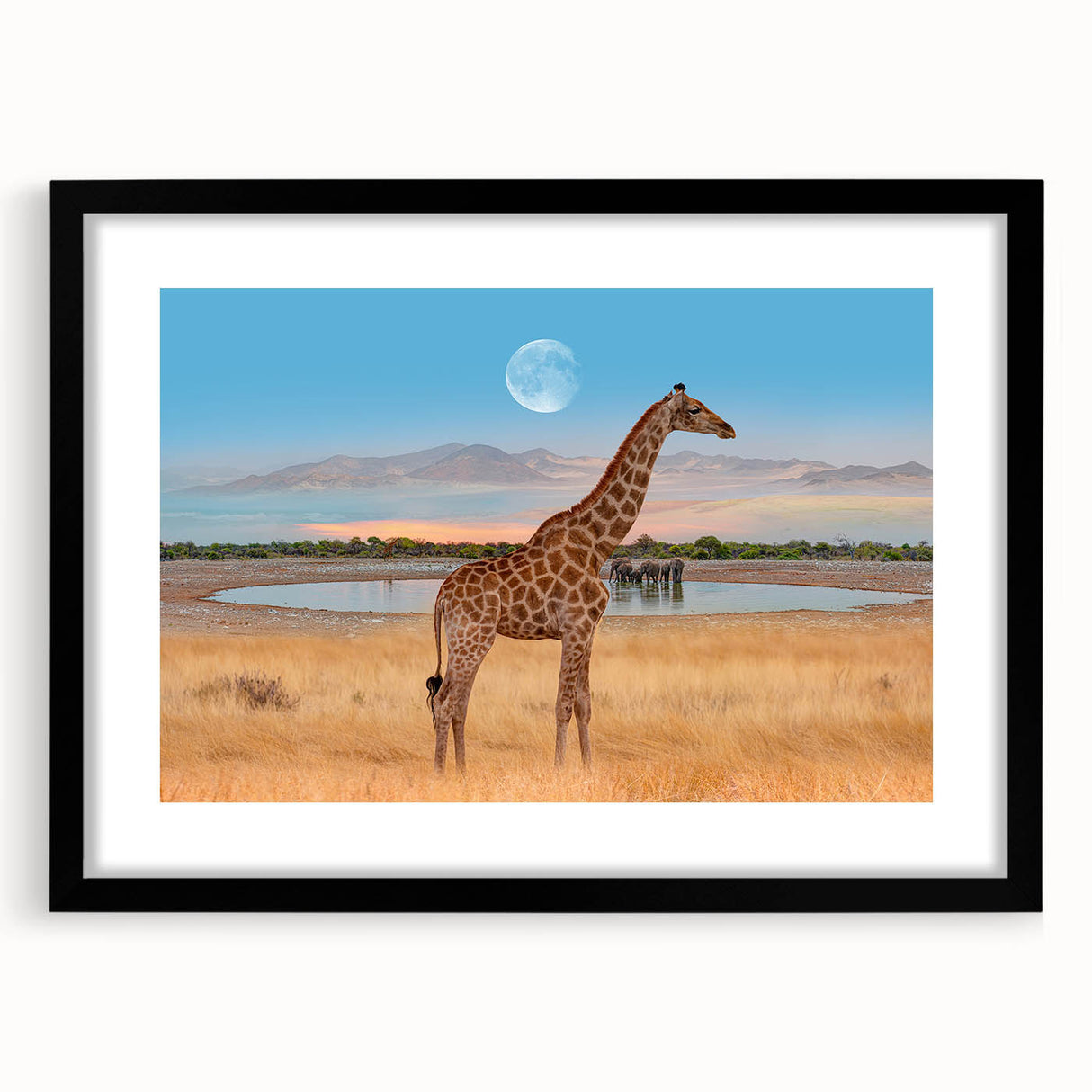 Giraffe wall art featuring a striking black frame and mat, showcasing a vibrant wildlife design suitable for home decor. Perfect for animal lovers and nature enthusiasts.