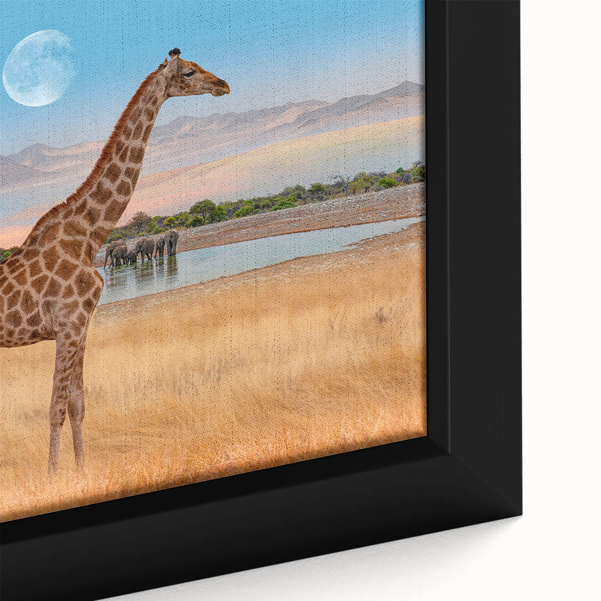 Close-up of a framed canvas wall art featuring a graceful giraffe design, showcasing detailed textures and vibrant colors, perfect for animal lovers and home decor enthusiasts.