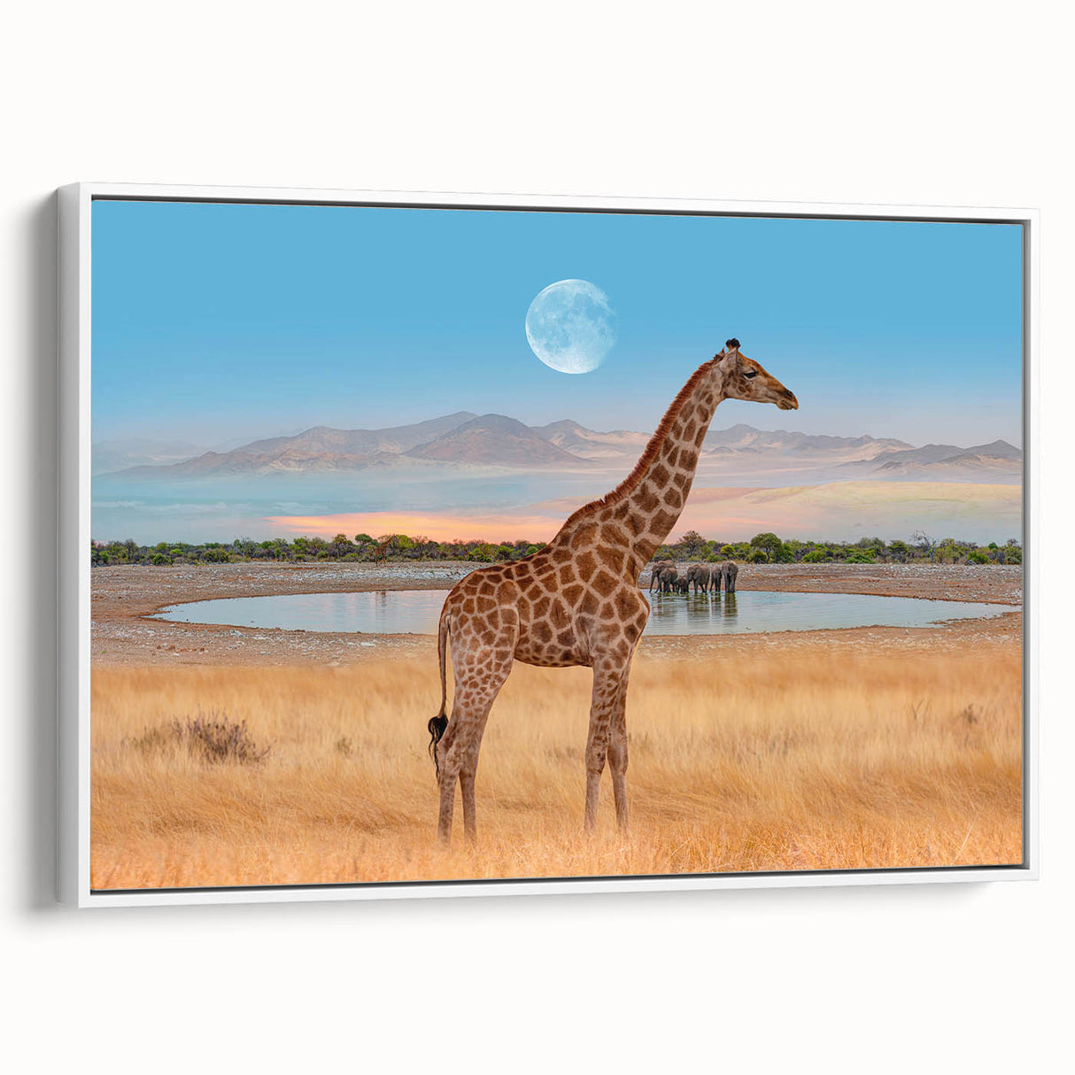 Framed canvas wall art featuring a side view of a giraffe against a white background, showcasing its unique patterns and graceful posture, perfect for wildlife enthusiasts.