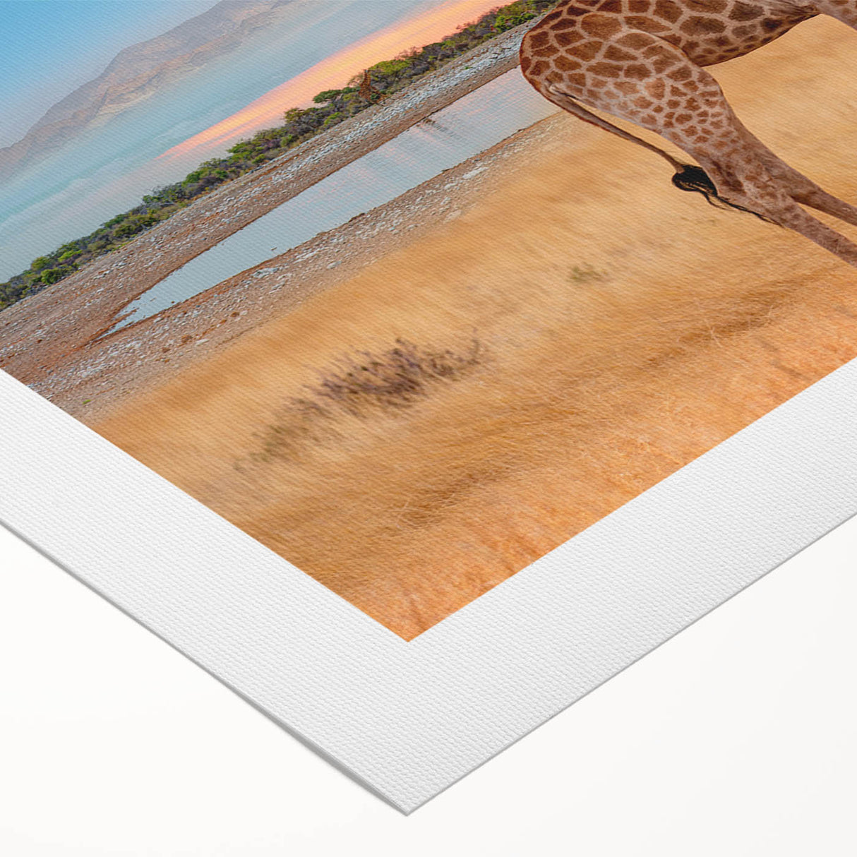 Giraffe wall art design on rolled canvas, showcasing vibrant colors and intricate details, ideal for wildlife enthusiasts and modern decor. Perfect for adding a touch of nature to any space.