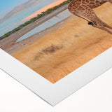 Giraffe wall art design on rolled canvas, showcasing vibrant colors and intricate details, ideal for wildlife enthusiasts and modern decor. Perfect for adding a touch of nature to any space.