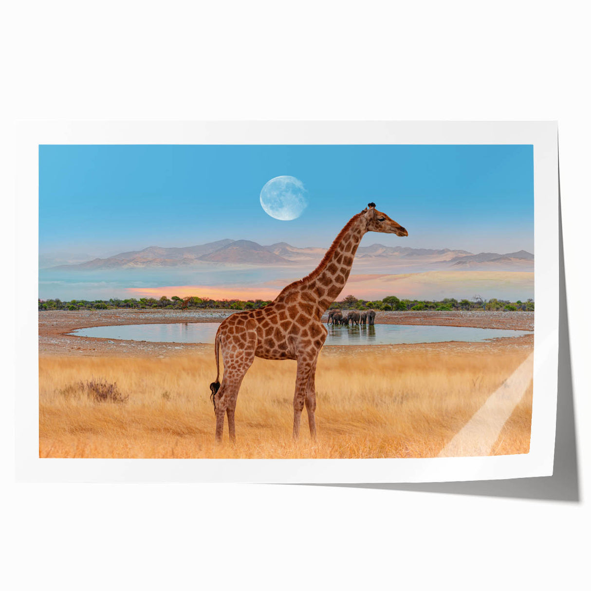 Giraffe wall art design showcasing a vibrant illustration of a giraffe in a natural setting, ideal for animal lovers, available as a rolled print for easy framing.
