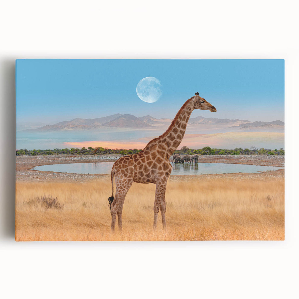 Stretched canvas wall art featuring a vibrant front view of a giraffe in a natural habitat, showcasing rich colors and intricate details, perfect for wildlife lovers.
