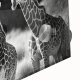 Close-up of a vibrant giraffe design wall art piece, showcasing intricate details and rich colors on acrylic glass, perfect for wildlife enthusiasts and modern decor.