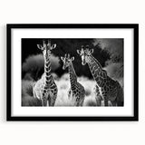 Giraffe-themed wall art print featuring a striking design with vibrant colors, framed in black with a mat. Perfect for animal lovers and modern decor.
