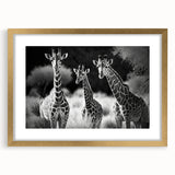 Framed wall art featuring a striking giraffe design in gold with a white mat, perfect for animal lovers and modern decor enthusiasts. Ideal for adding a touch of wildlife elegance to any room.