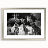 Giraffe wall art design in a silver frame with a mat, showcasing vibrant colors and intricate details, perfect for enhancing any wildlife-themed decor.