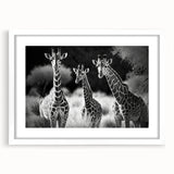 Giraffe wall art design showcasing a colorful illustration framed with a white mat, perfect for adding a vibrant touch to nature-themed decor in any room.