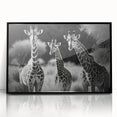 Framed wall art featuring a vibrant giraffe design in a black frame, showcasing intricate details and colors, perfect for wildlife enthusiasts and home decor.