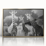 Framed wall art featuring a striking front view of a giraffe design, with a sleek acrylic finish and elegant gold accents, perfect for wildlife-themed decor.
