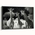 Framed wall art showcasing a side view of a giraffe against a black background, highlighting its elegant neck and distinctive patterns, perfect for animal lovers' decor.