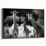 Framed wall art showcasing a side view of a giraffe against a black background, highlighting its elegant neck and distinctive patterns, perfect for animal lovers' decor.