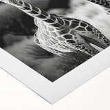 Giraffe-themed rolled canvas wall art showcasing vibrant colors and intricate details, perfect for adding a touch of wildlife decor to any space.