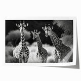 Giraffe wall art design showcasing a vibrant, colorful illustration, ideal for animal lovers and home decor, printed on high-quality material for lasting appeal.