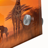 Close-up of a vibrant acrylic glass wall art piece showcasing a striking giraffe design, perfect for wildlife enthusiasts and modern home decor. The colorful artwork captures the elegance of the giraffe in a contemporary style, ideal for adding a touch of nature to any room.