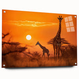 Acrylic glass wall art featuring a side view of a giraffe in a vibrant jungle setting, showcasing intricate details and colors, perfect for wildlife enthusiasts and home decor.