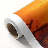 Giraffe-themed rolled canvas wall art showcasing vibrant colors and intricate details, perfect for adding a touch of wildlife elegance to home decor.