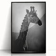 Framed acrylic wall art featuring a striking giraffe design in a modern black frame, showcasing vibrant colors and intricate details, perfect for wildlife enthusiasts.