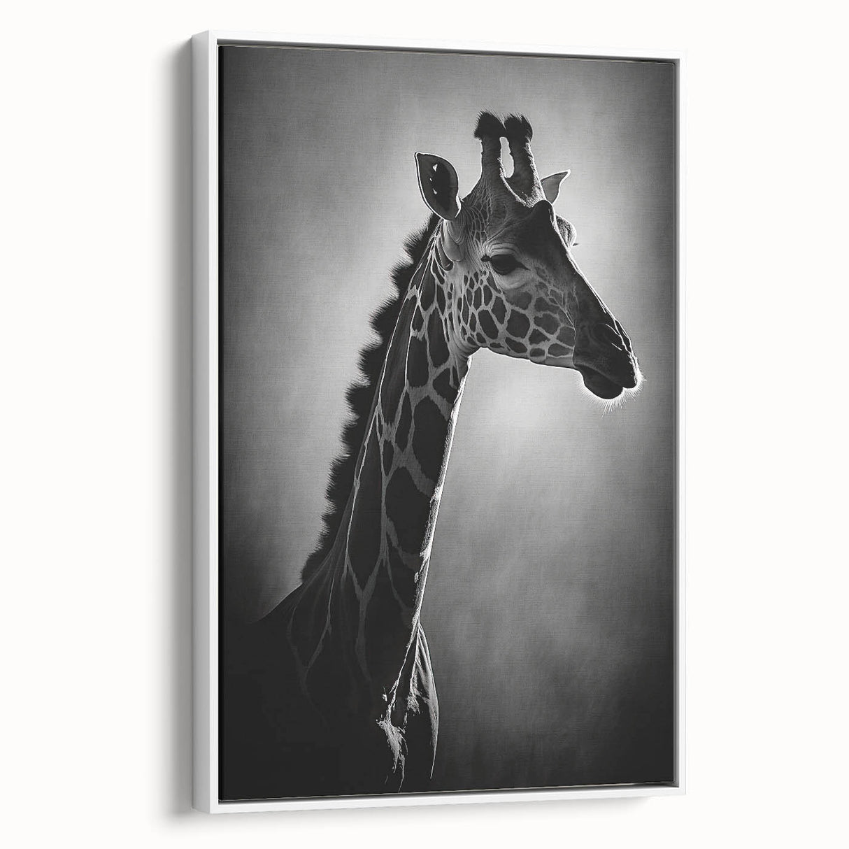Framed canvas wall art featuring a side view of a giraffe against a white background, showcasing intricate detailing and vibrant colors, perfect for wildlife enthusiasts.