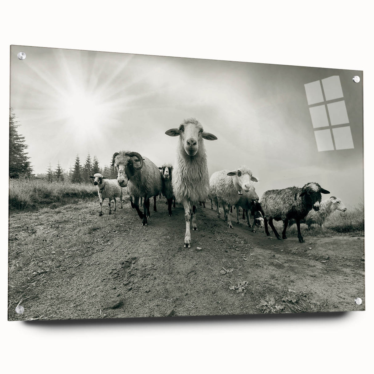 Acrylic wall art featuring a side view of a goat design with vibrant colors, displayed with pins on a neutral background, perfect for animal lovers and home decor enthusiasts.