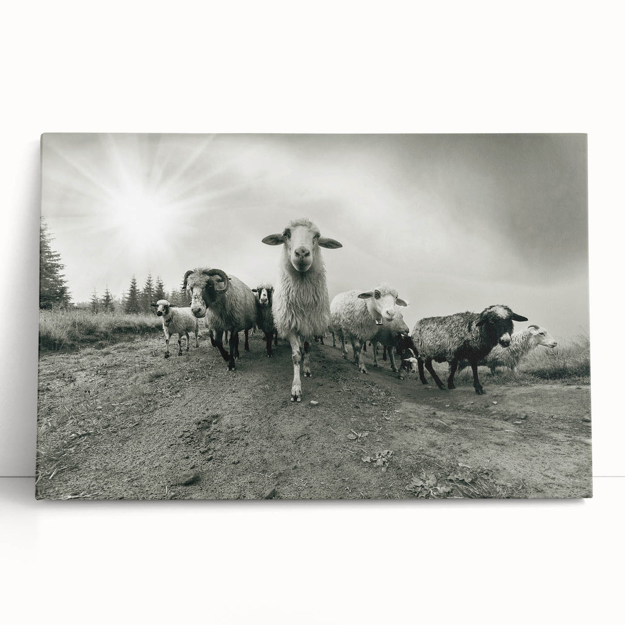 Stretched canvas wall art featuring a whimsical goat design with vibrant colors, ideal for animal lovers and rustic decor, enhancing any interior space.