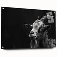 Acrylic glass wall art featuring a vibrant goat design from the "Animals: A Wild Life" collection, displayed in a side view with decorative pins for hanging. This piece adds a colorful touch to any space while celebrating wildlife artistry.