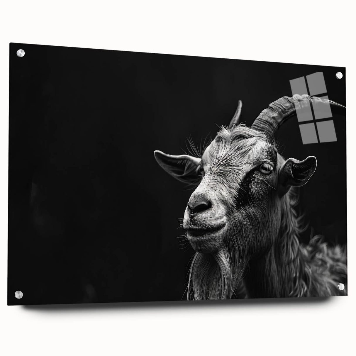 Acrylic glass wall art featuring a vibrant goat design from the "Animals: A Wild Life" collection, displayed in a side view with decorative pins for hanging. This piece adds a colorful touch to any space while celebrating wildlife artistry.