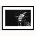 Framed wall art featuring a striking goat design from the "Animals – A Wild Life" collection, showcased with a black mat for a modern aesthetic. Ideal for nature lovers and home decor enthusiasts.