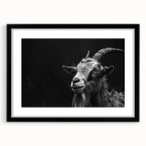 Framed wall art featuring a striking goat design from the "Animals – A Wild Life" collection, showcased with a black mat for a modern aesthetic. Ideal for nature lovers and home decor enthusiasts.