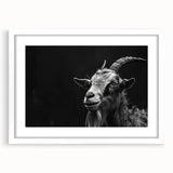 Framed wall art featuring a whimsical goat design from the "Animals: A Wild Life" collection, displayed in a white frame with a mat, ideal for home decor.