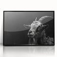 Framed acrylic wall art showcasing a striking goat design, set against a black background, perfect for animal lovers and modern home decor enthusiasts.