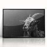 Framed acrylic wall art showcasing a striking goat design, set against a black background, perfect for animal lovers and modern home decor enthusiasts.