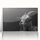 Framed wall art featuring a striking goat design on acrylic, showcasing vibrant colors and intricate details, perfect for enhancing any modern decor.
