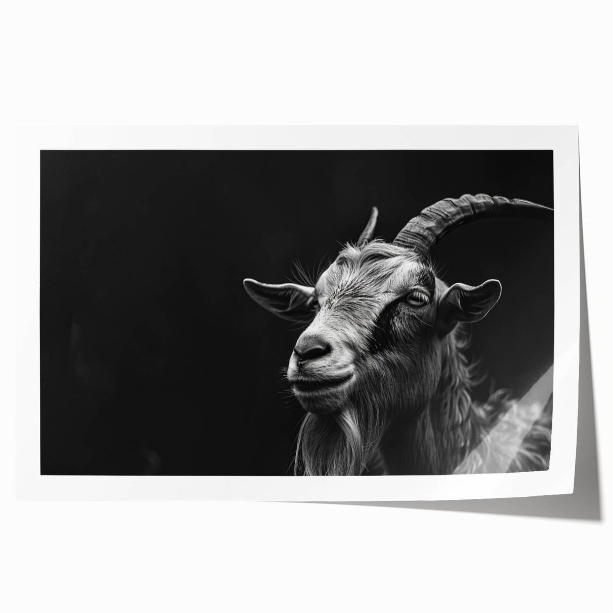 Goat design wall art print featuring vibrant colors and intricate details, rolled and ready for framing, perfect for animal lovers and home decor enthusiasts.