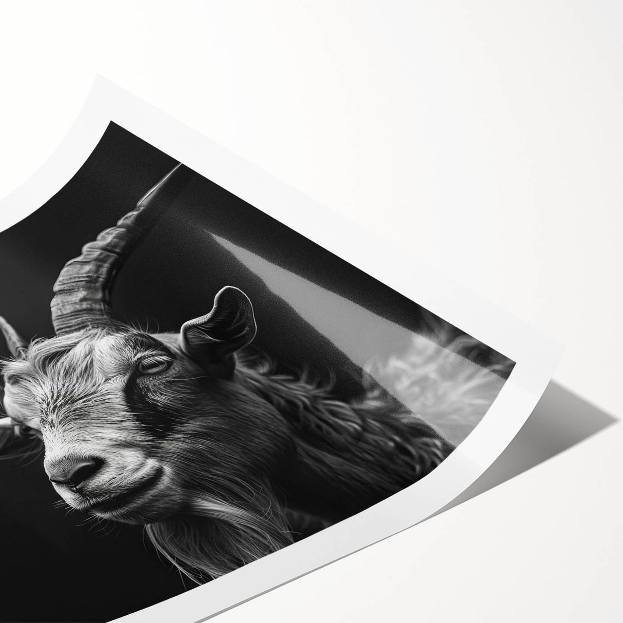 Rolled print of a whimsical goat design from the 'Animals A Wild Life' wall art collection, showcasing vibrant colors and playful illustrations, perfect for animal lovers.
