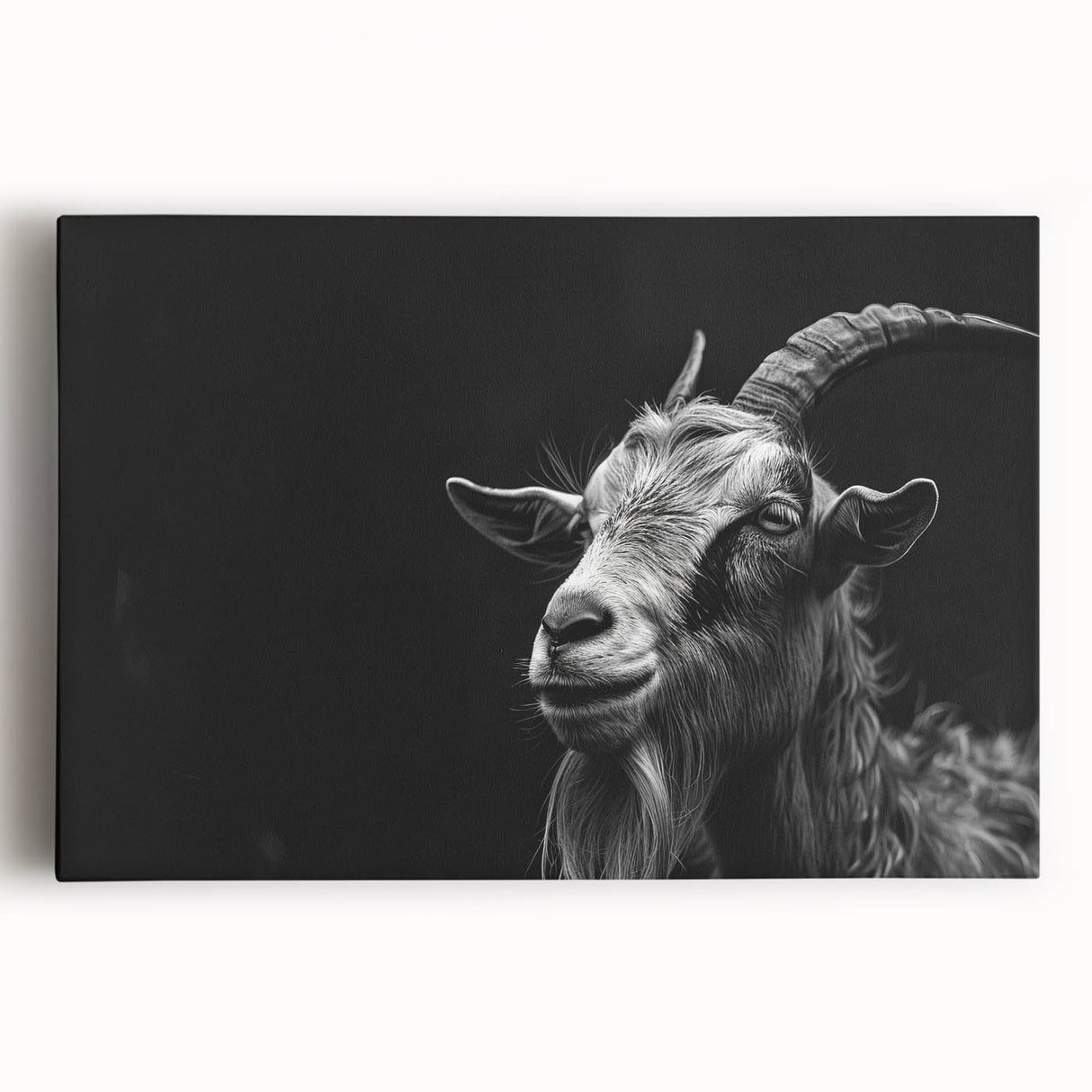 Vibrant stretched canvas wall art showcasing a detailed goat design, set against a natural background, perfect for animal lovers and home decor enthusiasts.